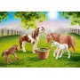 Playmobil 70682 set di action figure giocattolo (70682A)