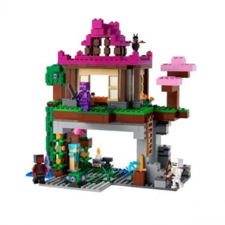 I CAMPI D ALLENAMENTO (21183)