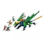 DRAGONE LEGGENDARIO DI LLOYD (71766)