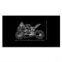 BMW M 1000 RR (42130A)