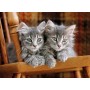 Clementoni Kittens Puzzle 500 pz (30545)