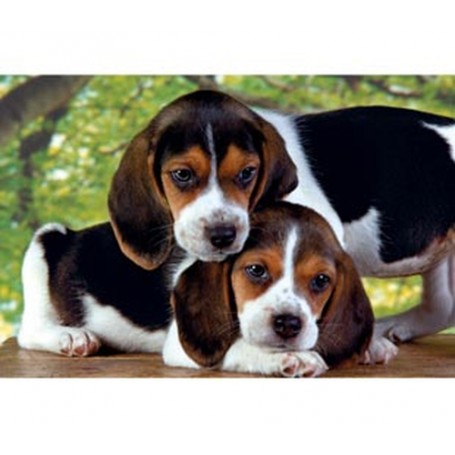 Clementoni Close Together Puzzle 500 pz (30289)