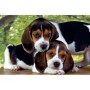 Clementoni Close Together Puzzle 500 pz (30289)