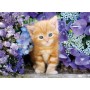 Clementoni Ginger cat Puzzle da pavimento 500 pz (30415)