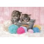 Clementoni Sweet Kittens Puzzle 104 pz (27115)