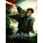 Ravensburger Harry Potter Puzzle 100 pz. XXL (12869)