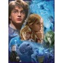 Ravensburger Harry Potter in Hogwarts Puzzle 500 pz (14821)