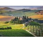 Clementoni 39456 Puzzle da pavimento 1000 pz (39456)
