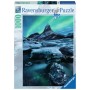Ravensburger 4005556198306 Puzzle 1000 pz (19830A)