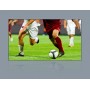 Optoma ALR101 schermo per proiettore 2,54 m (100") 16:9 (ALR101)