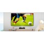 Optoma ALR101 schermo per proiettore 2,54 m (100") 16:9 (ALR101)