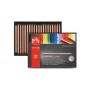 Caran d-Ache Luminance 6901 pastello colorato Multi 20 pz (6901720)