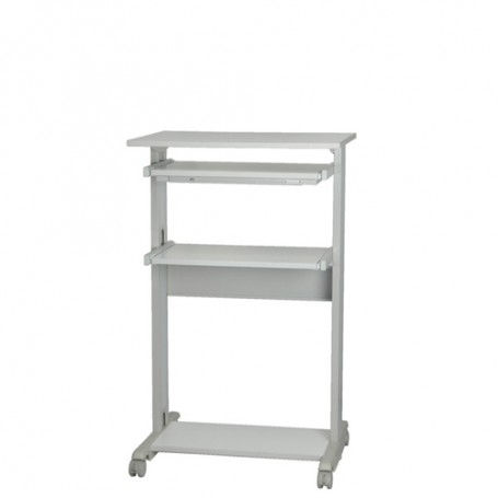 ROLINE PC Standing Workstation Forma rettangolare Metallo, Plastica Grigio, Bianco (RO17.02.1545)