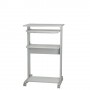 ROLINE PC Standing Workstation Forma rettangolare Metallo, Plastica Grigio, Bianco (RO17.02.1545)