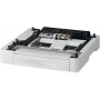 Epson Cassetto carta 250 (C12C802761)