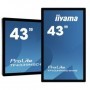 iiyama ProLite TF4339MSC-B1AG monitor touch screen 109,2 cm (43") 1920 x 1080 Pixel Multi-touch Multi utente Ne (TF4339MSC-B1AG)