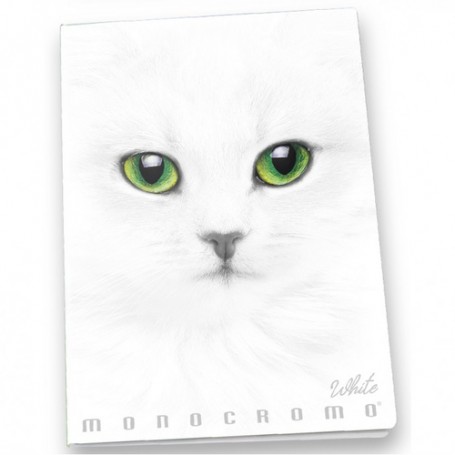 Pigna Monocromo quaderno per scrivere A4 19 fogli Bianco (02307911R)