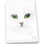 Pigna Monocromo quaderno per scrivere A4 19 fogli Bianco (02307914F)