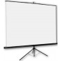 ORAY Byron 2 schermo per proiettore 1:1 (TRE02B1200200)