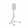 Hagor ST SA Flip II 165,1 cm (65") Bianco (5788)
