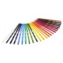 Crayola 3624G pastello colorato Multicolore 12 pz (3624)
