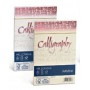 Favini Millerighe Calligraphy busta Avorio (A57Q427)