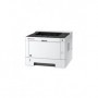 KYOCERA ECOSYS P2235dw 1200 x 1200 DPI A4 Wi-Fi (1102RW3NL0)