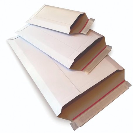 CF20 BUSTE E-COMMERCE PACK ST B5 (0732)