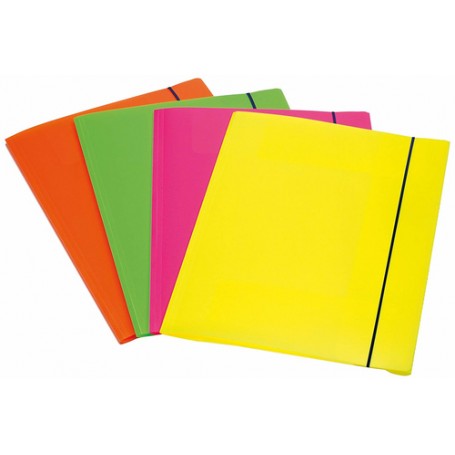 Fellowes 1028001 cartella Polipropilene (PP) Multicolore A4 (1028001)