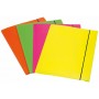 Fellowes 1028001 cartella Polipropilene (PP) Multicolore A4 (1028001)