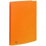 Favorit Neon raccoglitore ad anelli A4 Arancione (400102298)