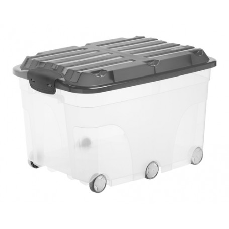 Rotho 17666 Armadietto portaoggetti Rettangolare Polipropilene (PP) Antracite, Trasparente (F600179)