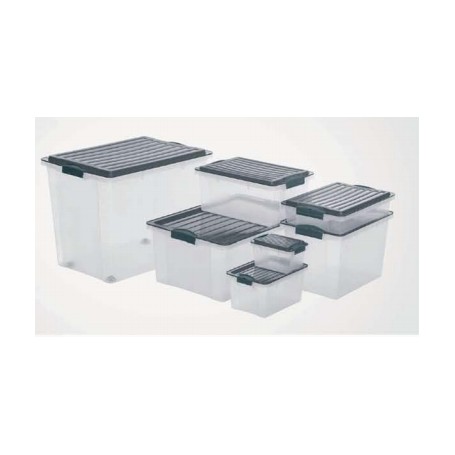 Rotho 1776008812 scatola di conservazione Armadietto portaoggetti Rettangolare Grigio, Trasparente (F717760)