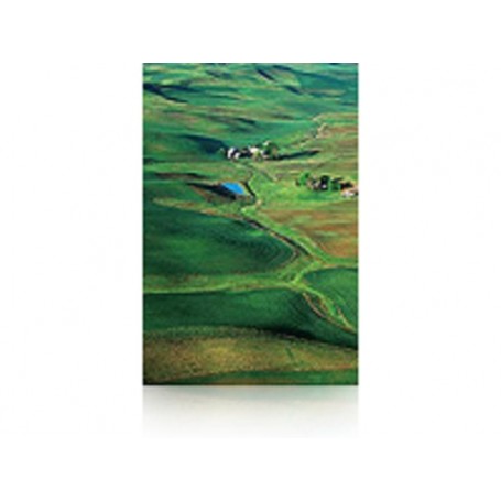 Epson Premium SemiGloss Photo Paper(250), in rotoli da 152, 4cm x 30, 5m (C13S042133)