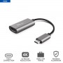 DALYX USB-C HDMI ADAPTER (23774)