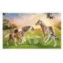 HORSE 2PONY ICELANC PULEDRI (71000)