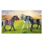 HORSE 3 CAVALLI (70999)