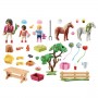 HORSE COMPLEANNO AL MANEGGIO (70997)
