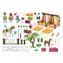 HORSE LEZIONE EQUITAZIONE (70995)