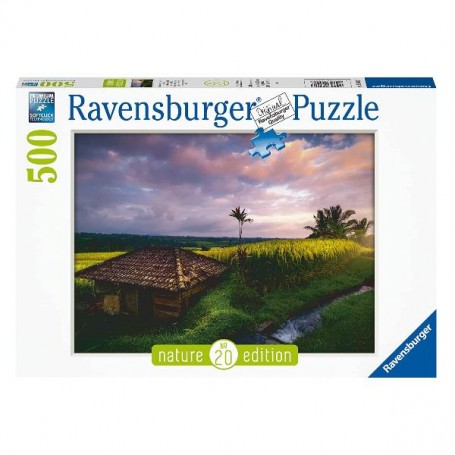 RISAIE BALI - 500PZ (169917)