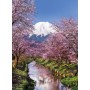 Clementoni 39418 puzzle Puzzle a blocchi 1000 pz (39418)