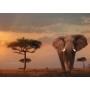 Ravensburger 00.015.159 Puzzle con tessere 1000 pz (15159A)