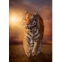 Clementoni 31806 puzzle Puzzle di contorno 1500 pz (31806)