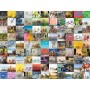 Ravensburger 99 biciclette e altro ... (16007)