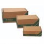 CF10 SCATOLE E-BOX XL 480X300X210 (0365)