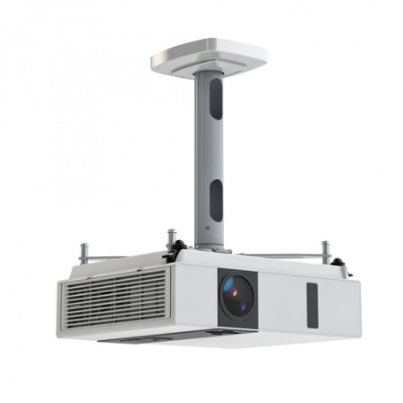 Kindermann 4000000030 supporto per proiettore Soffitto Bianco (4000000030)