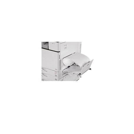 Ricoh 417485 parte di ricambio per la stampa Dispositivo di arresto della carta (417485)