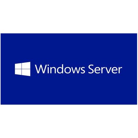 Microsoft Windows Server Datacenter Edition (P71-01031)
