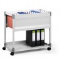 Durable 378410 scatola per la conservazione di documenti Grigio (378410)