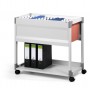 Durable 378410 scatola per la conservazione di documenti Grigio (378410)